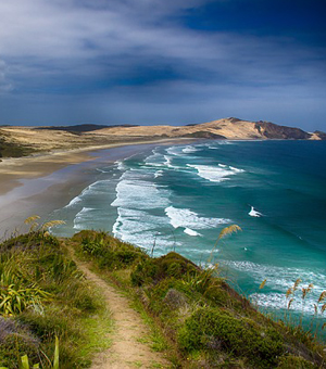 ddos攻击测试工具